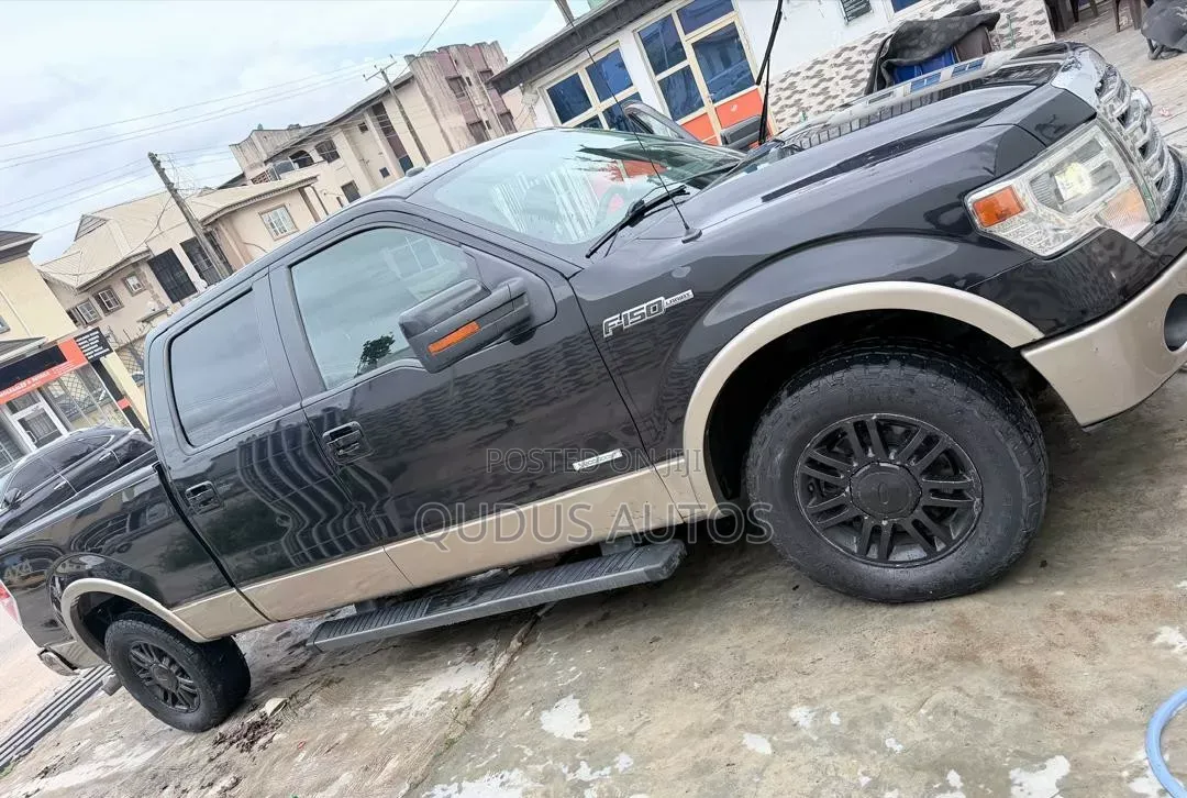 Ford F-150 2013 Brown