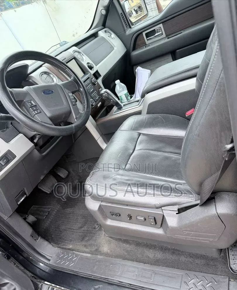 Ford F-150 2013 Brown