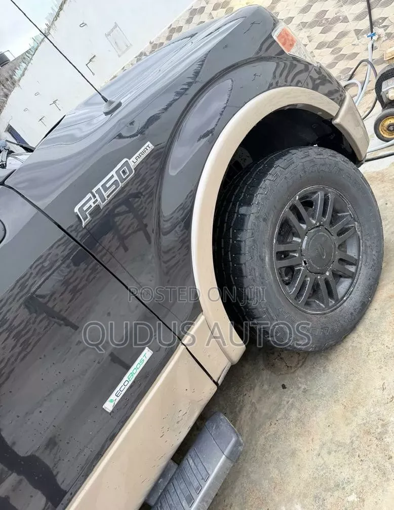 Ford F-150 2013 Brown