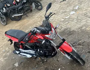 New Victory Hammer 2025 Red