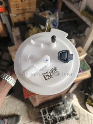 Complete Fuel Pump Santa Fe 2013-2017(korea)
