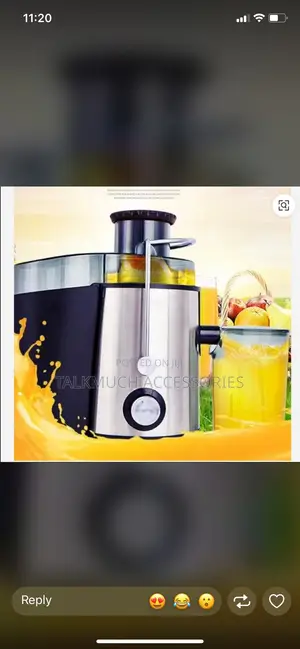 Electric Juicer