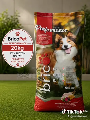 BricoPet Performance 20kg