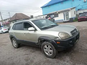 Hyundai Tucson 2006 Green