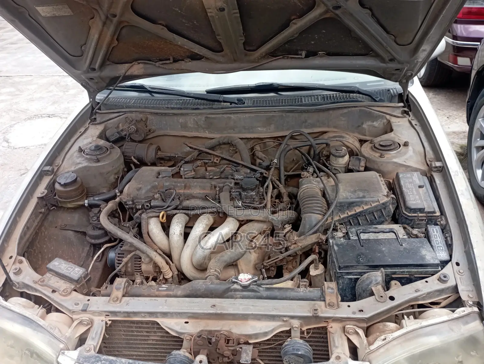 Toyota Corolla 2001 Brown
