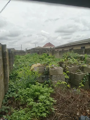 Destress Sales Half Plot of Land Fence Gated in Ishefun Ayobo