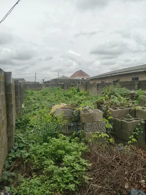 Destress Sales Half Plot of Land Fence Gated in Ishefun Ayobo