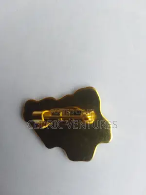 Nigerian Map Shape Lapel Pin