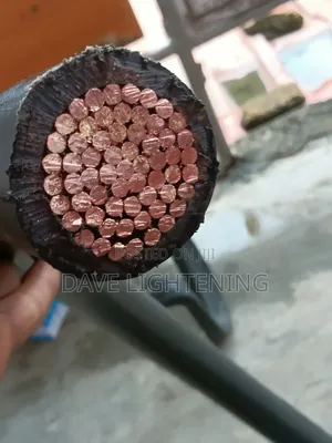 500mmx1 Armoured Cable