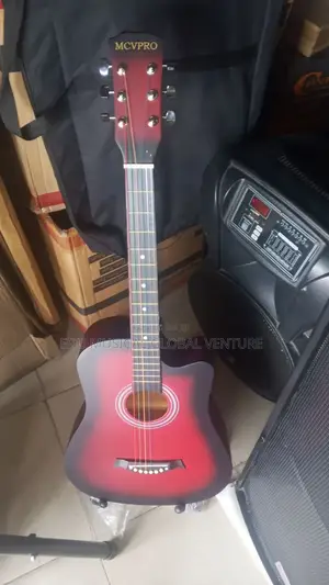 Acoustic/Box Guitar