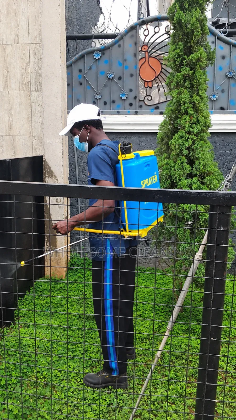 Fumigation and Industrial Cleaning