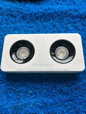 Double Spot Light