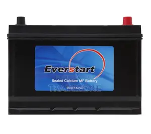 Everstart 12v 100ah Car Battery