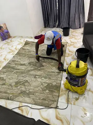 Rug/Carpet Washing