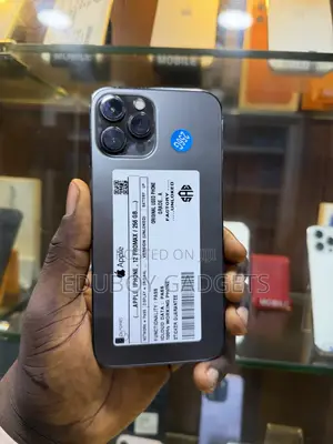 Apple iPhone 12 Pro Max 256 GB Black