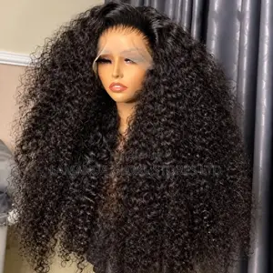 Long Kinky Curly Side Part HD Lace Front Human Hair Wig
