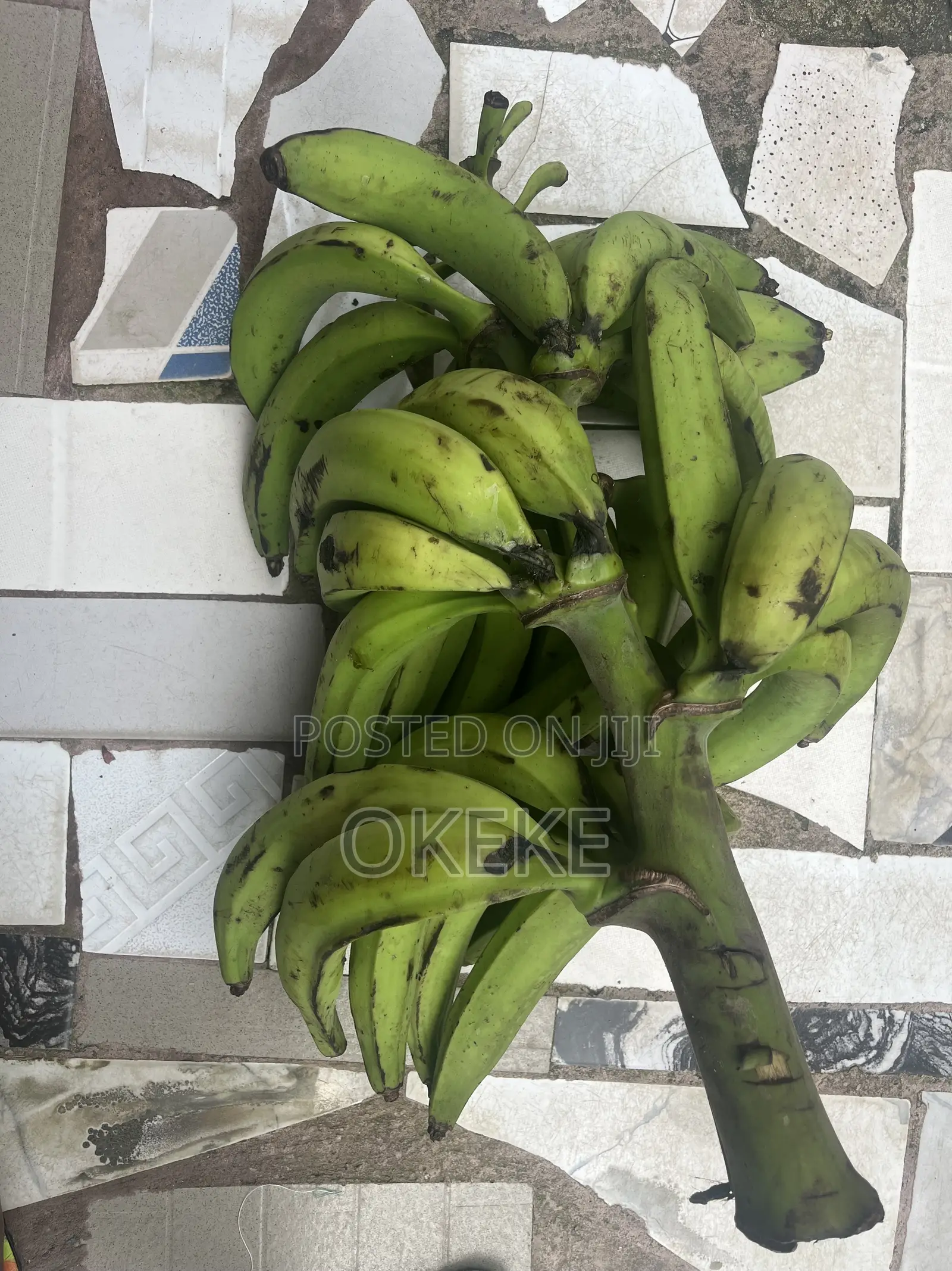Unripe Plantain