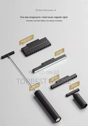 Magnetic Pendant Light