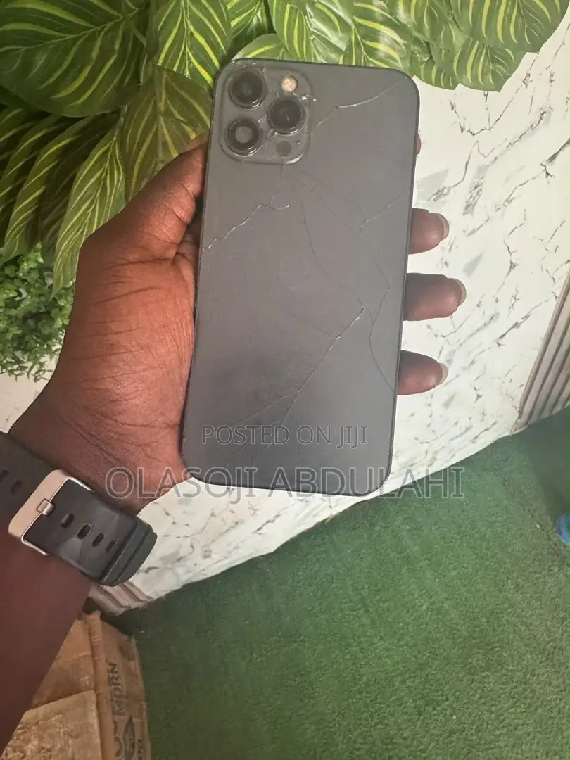 Apple iPhone 12 Pro Max 128 GB Gray
