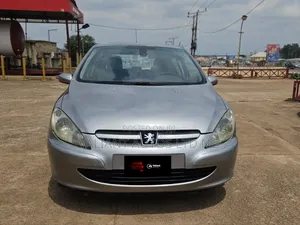 Peugeot 307 1.6 D 2004 Gray