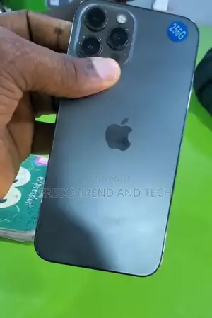 Apple iPhone 12 Pro Max 128 GB Gray