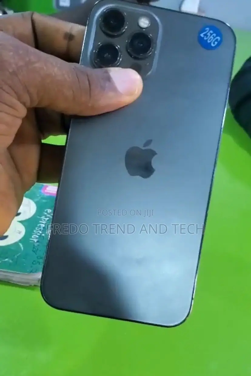 Apple iPhone 12 Pro Max 128 GB Gray