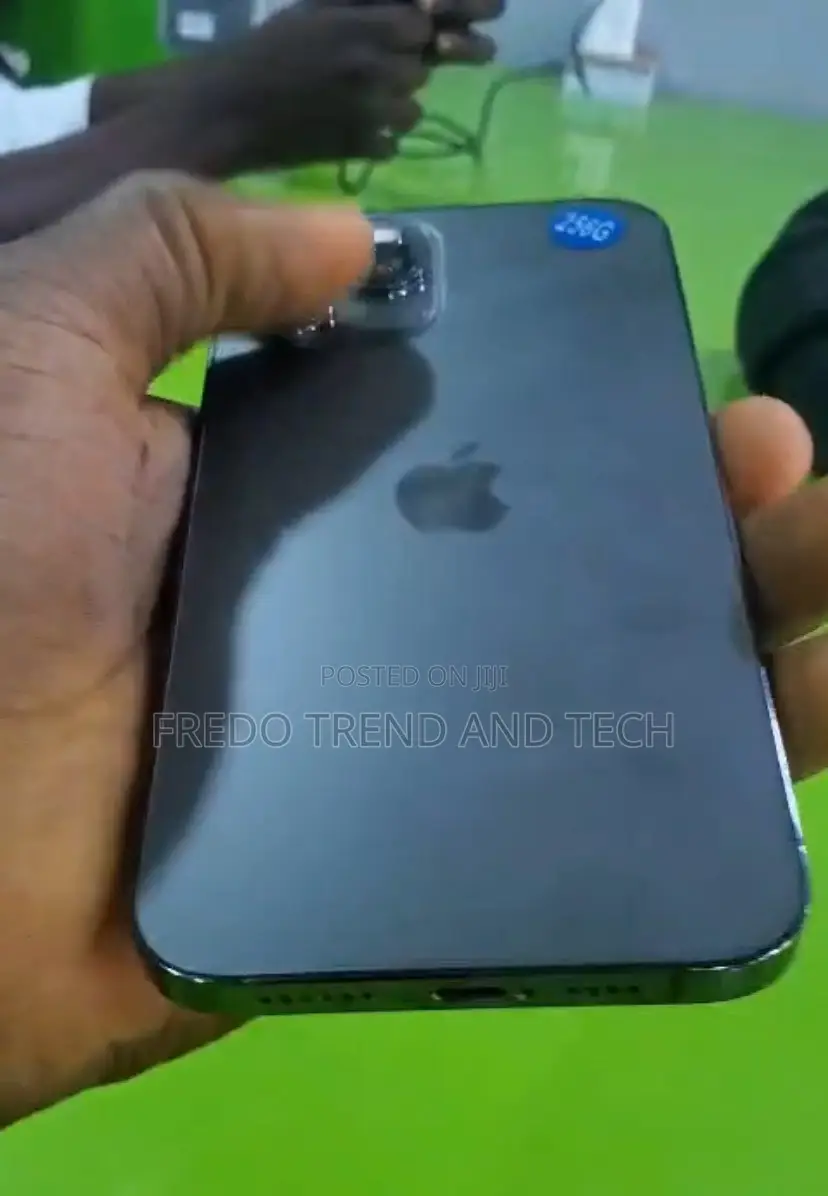 Apple iPhone 12 Pro Max 128 GB Gray