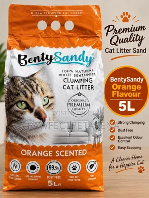 BentySandy Orange Flavour 5L