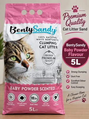 BentySandy Baby Powder Flavour 5L
