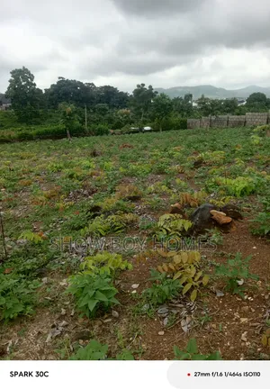 House Land