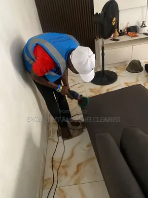 Professional Sofa/Rugs Carpet Cleaniner