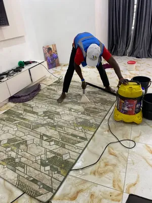 Professional Sofa/Rugs Carpet Cleaniner