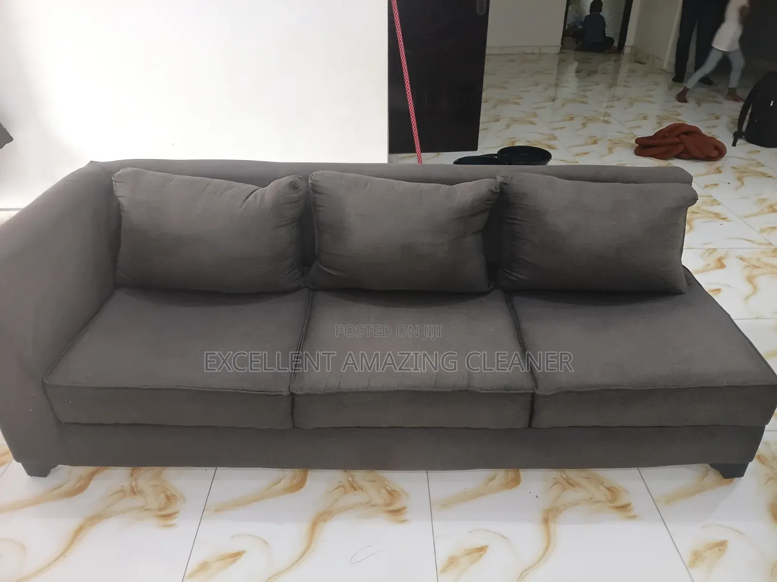 Professional Sofa/Rugs Carpet Cleaniner