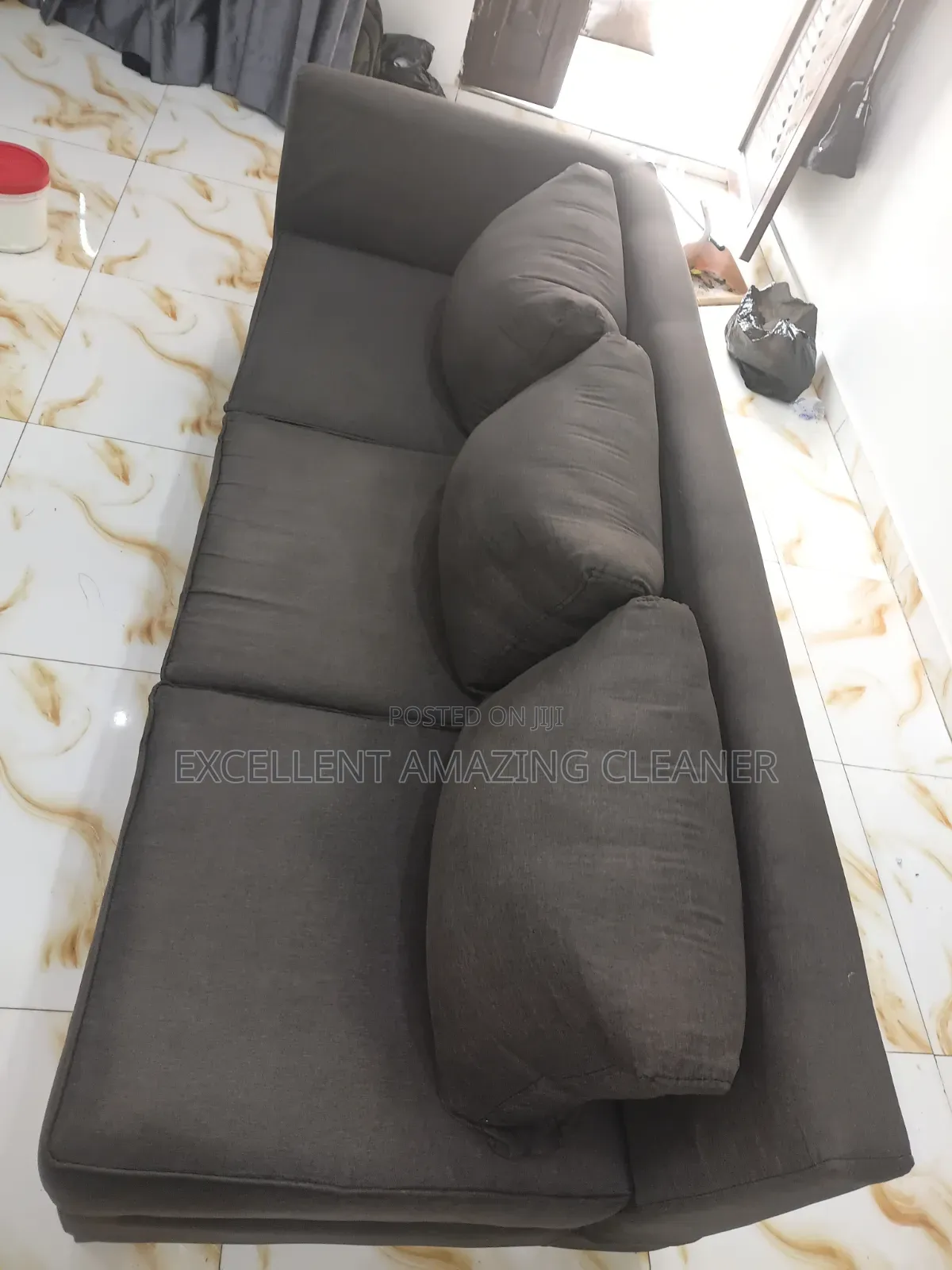 Professional Sofa/Rugs Carpet Cleaniner