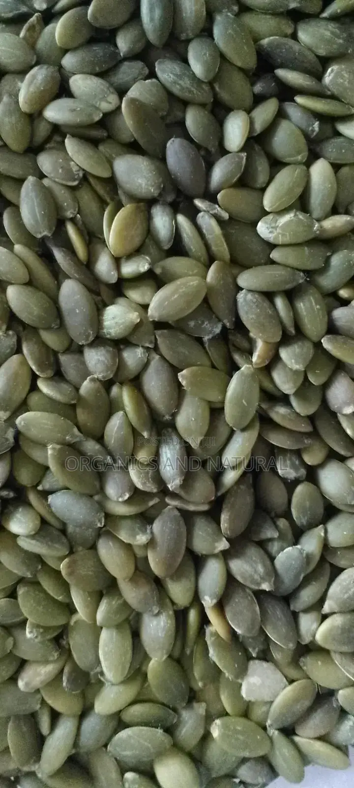500g Pumpkin Seed