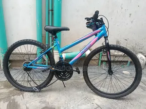 Movelo Algonquin 24 Steel Mountain Bike – Quality MTB Bicycle
