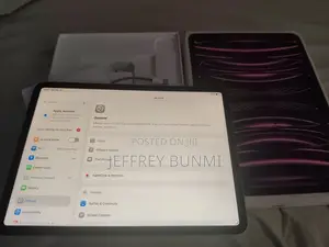 Apple iPad Pro 256 GB Gray