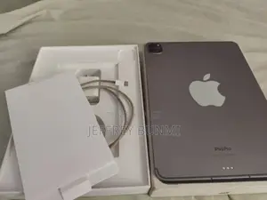 Apple iPad Pro 256 GB Gray