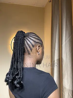 Dolly Braids Ponytail With a Draw String