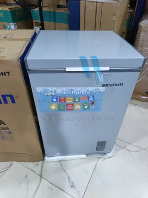 BD90A Skyrun 90L Chest Freezer Home Appliance