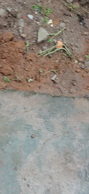 4200sqm (7plots) Joint Venture Greenwood Estate Sangotedo Lagos