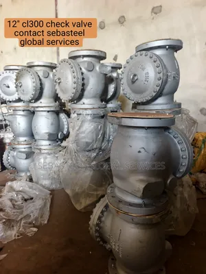 12" Cl300 Check Valve