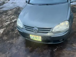 Volkswagen Golf 2007 Gray