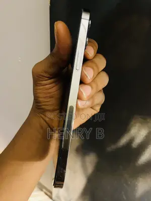 Apple iPhone 12 Pro Max 128 GB Graphite