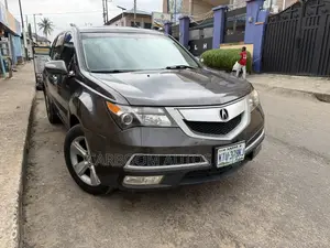 Acura MDX 2010 Gray