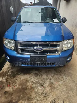 Ford Escape 2010 Blue