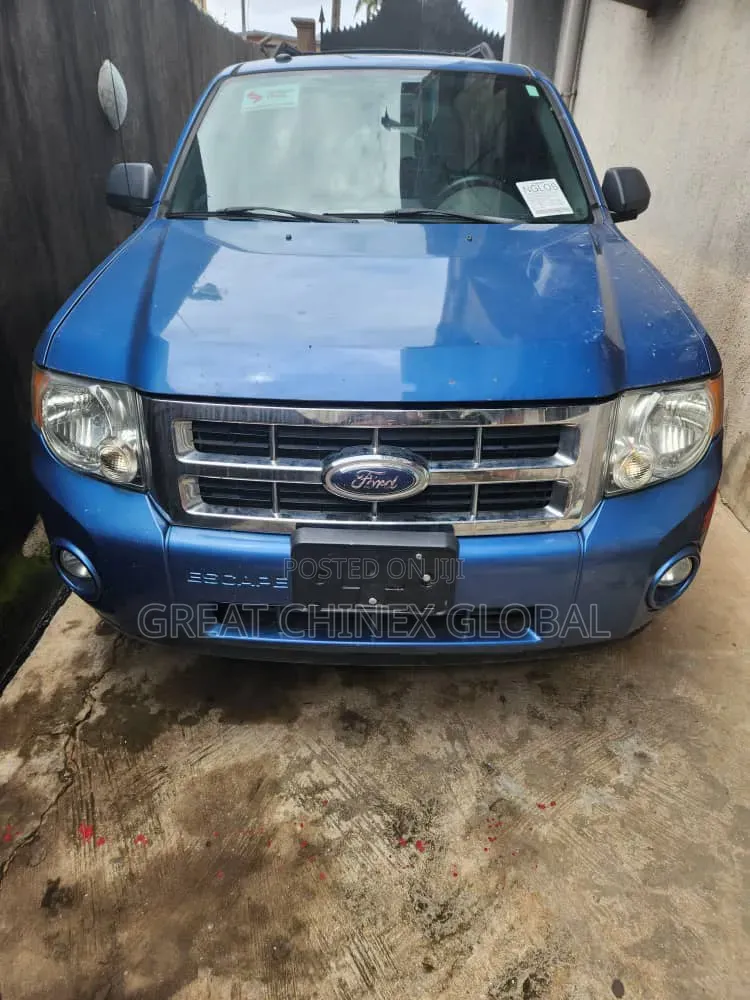 Ford Escape 2010 Blue