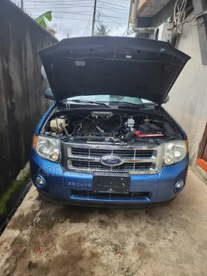 Ford Escape 2010 Blue