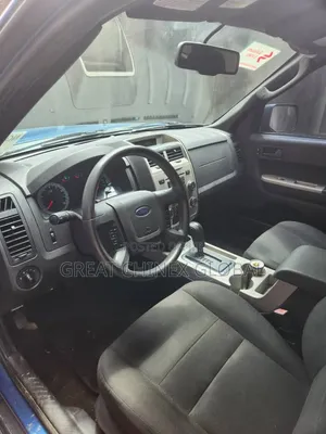 Ford Escape 2010 Blue