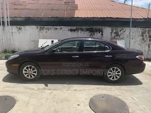 Lexus ES 300 2003 Brown